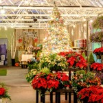 Christmas Greenhouse Showroom