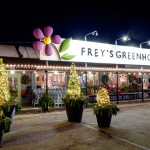 Frey's greenhouse christmas