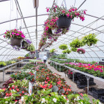 Inside-the-Greenhouse-Lancaster-PA