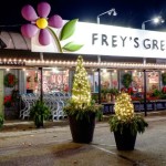 christmas-at-freys-greenhouse